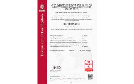 ISO 50001