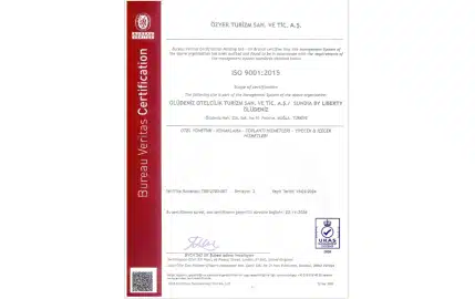 Bureau Veritas Certification ISO9001-2015