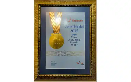Thomson Gold Medal 2015 Winner